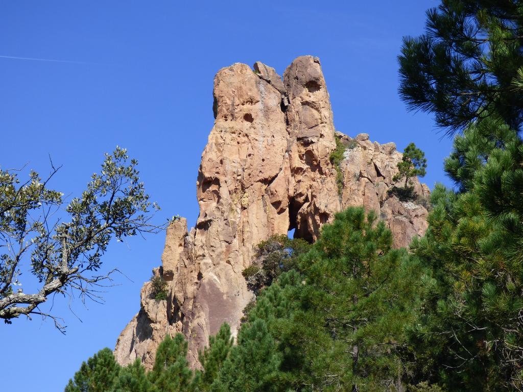 Saint-Jean-de-l'Esterel Chambres D'Hotes Vue Mer L'Esterel Panoramique المظهر الخارجي الصورة